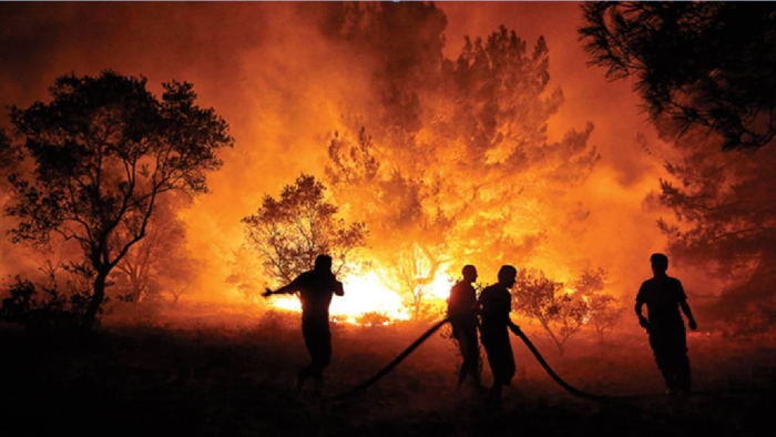 BM uyarıyor; Orman Yangınları artacak