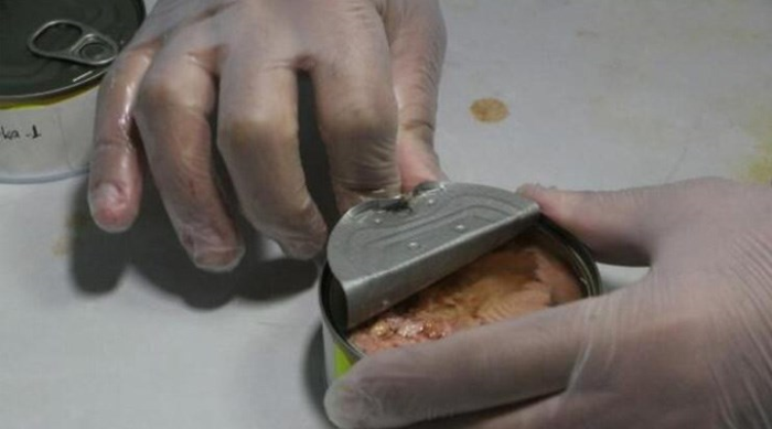 Türkiye’deki Ton Balığı Konservelerinde Mikroplastikler Kol Geziyor