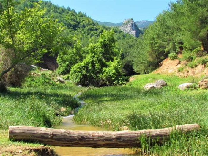Dilek Yarımadası ve Büyük Menderes Deltası Milli Parkı