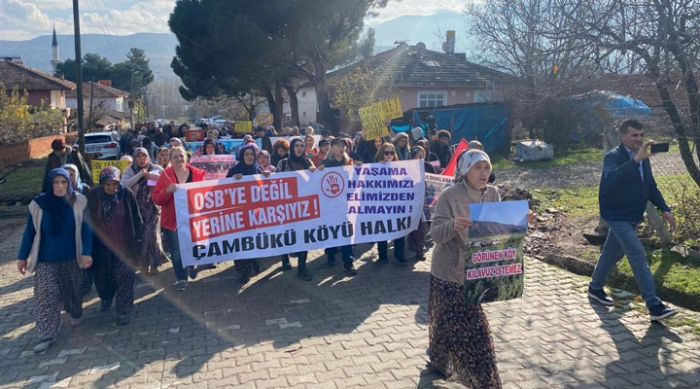 Amasya Çambükü Köylüleri'nin OSB isyanı