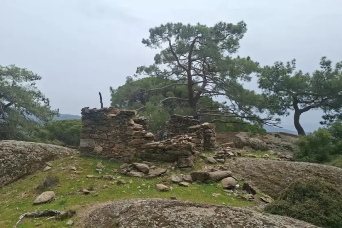 Aydın Çine'de Maden şirketinden doğa katliamı