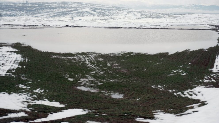 Konya 'da yoğun yağış ekinleri su altında bıraktı