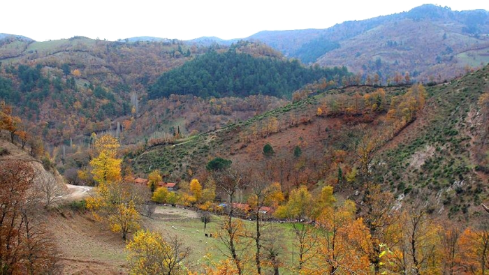 Madra Dağı’nda doğanın yok edilmesine izin