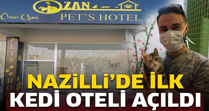Nazilli’de ilk kedi oteli açıldı