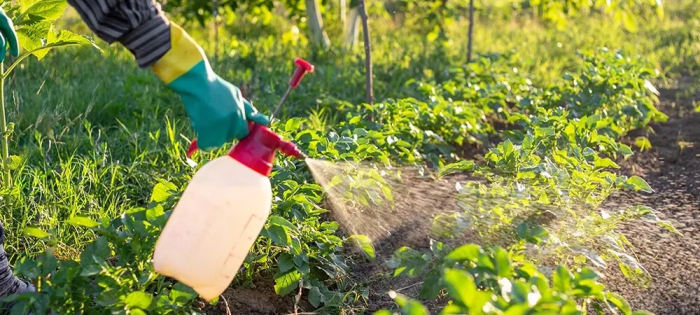 Pestisit analiz sonuçları kamuoyuna açıklanacak